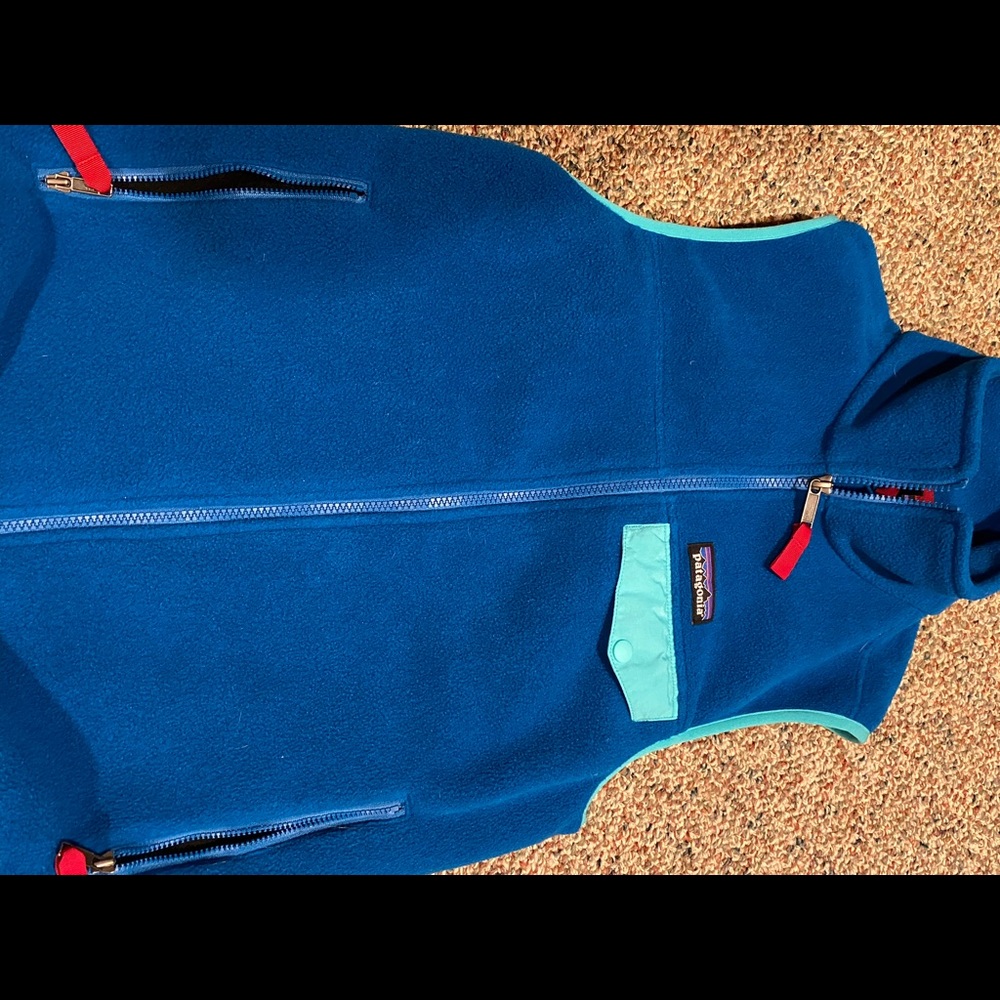 Patagonia vest